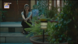 Hasrat - Episode 31 - 2nd Jun 2024